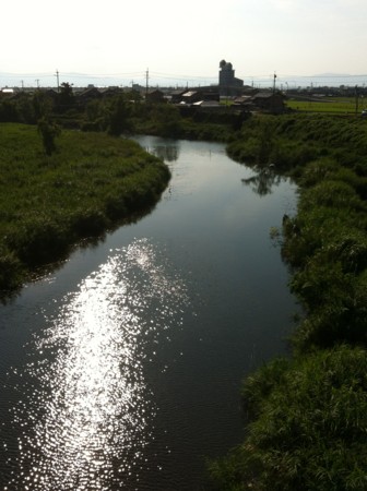 f:id:mukunokiy0725:20120809160732j:image