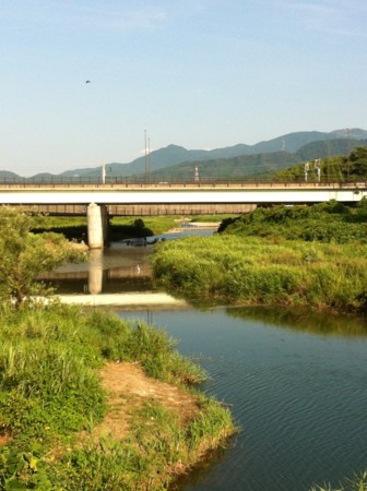 f:id:mukunokiy0725:20120809162001j:image