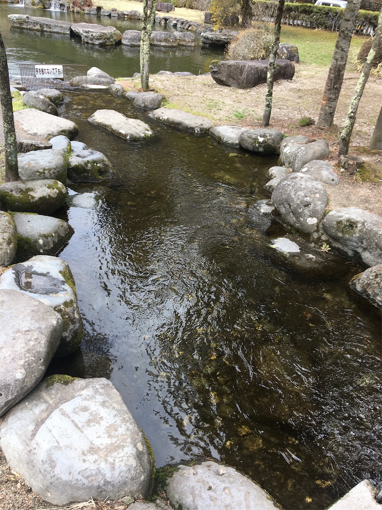 f:id:mukusaishin:20190710223149j:image f:id:mukusaishin:20190710223149j:image