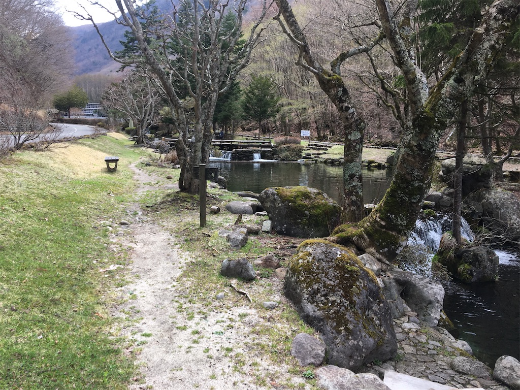 f:id:mukusaishin:20190710223524j:image f:id:mukusaishin:20190710223524j:image