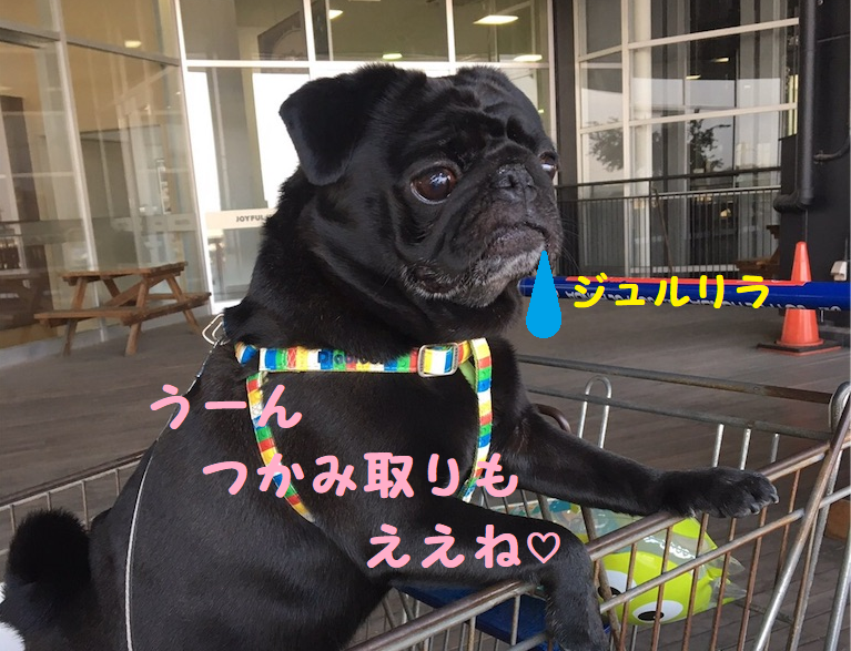 f:id:mukusaishin:20190710234850p:plain f:id:mukusaishin:20190710234850p:plain