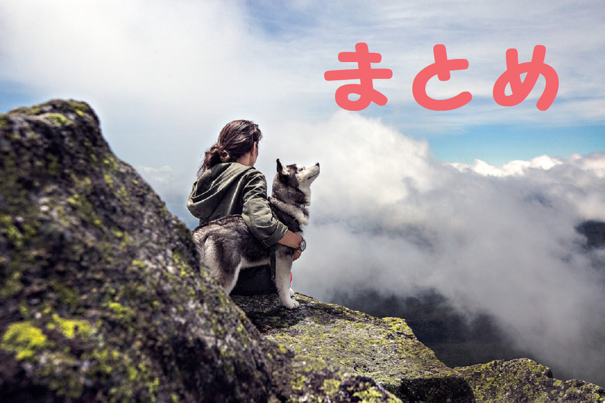 f:id:mukusaishin:20190723002715p:plain f:id:mukusaishin:20190723002715p:plain