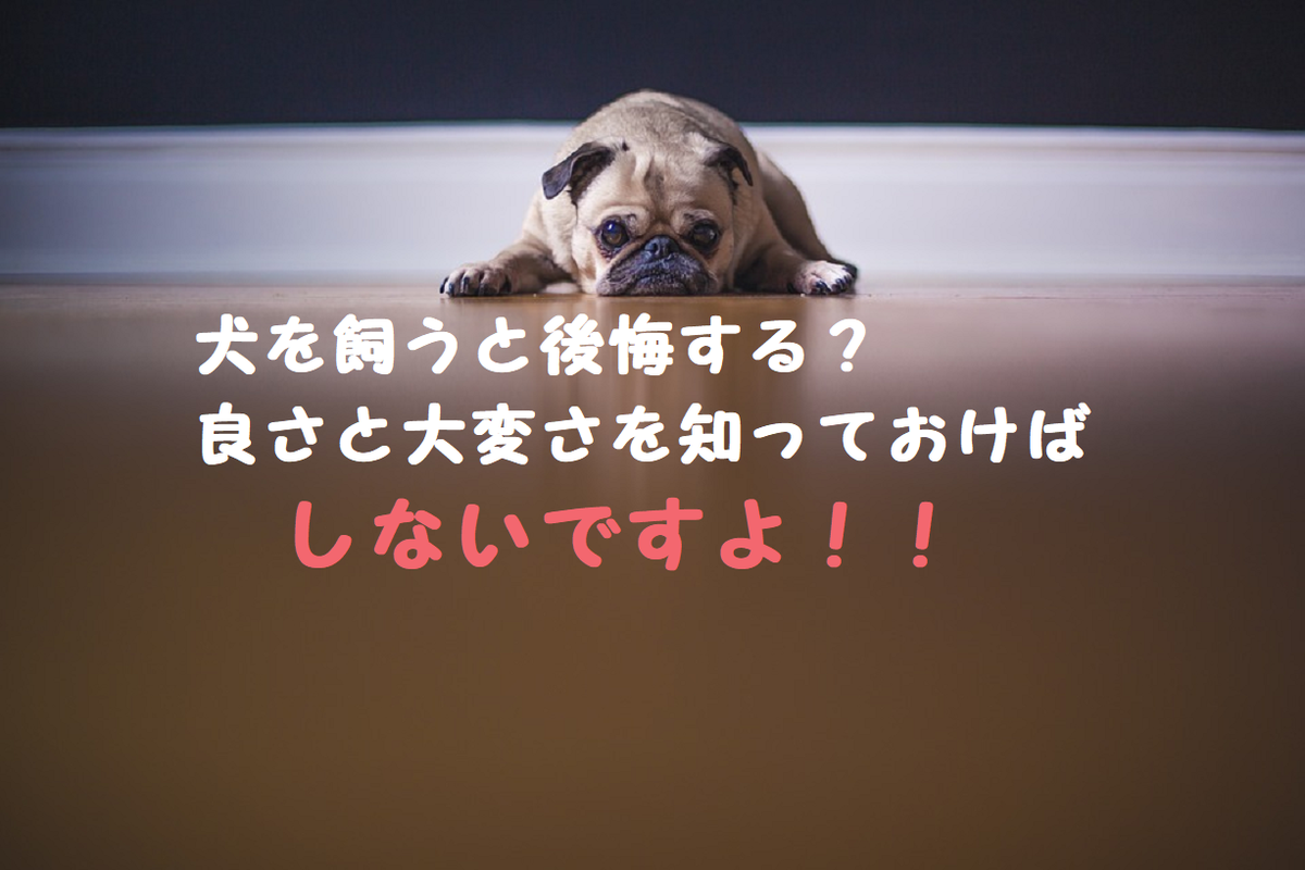 f:id:mukusaishin:20190723002728p:plain f:id:mukusaishin:20190723002728p:plain