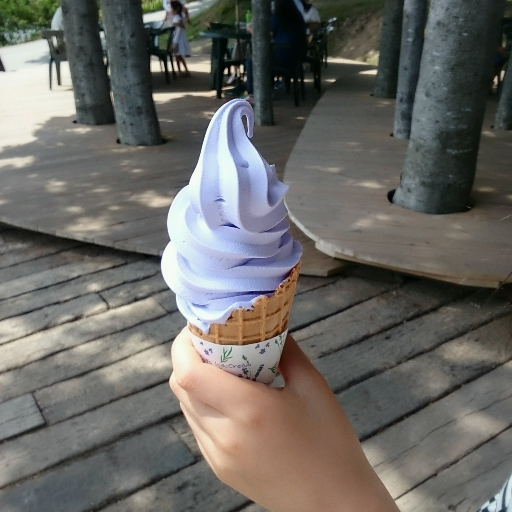 f:id:mukuxmuku:20170727011137j:plain f:id:mukuxmuku:20170727011137j:plain