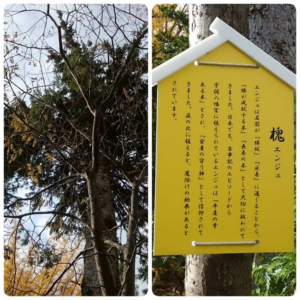 f:id:mukuxmuku:20171101234637j:plain
