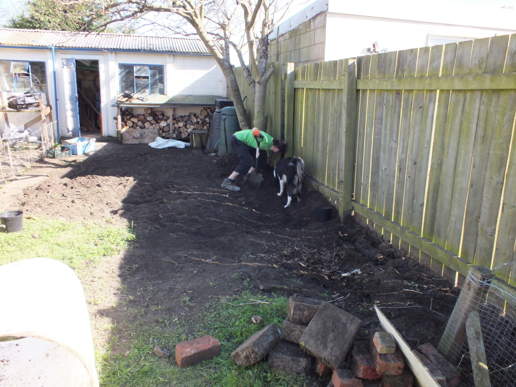 穴掘り好きの犬から畑を守る闘い 前編 これまでの遍歴と対策 Lazy Cosy Home