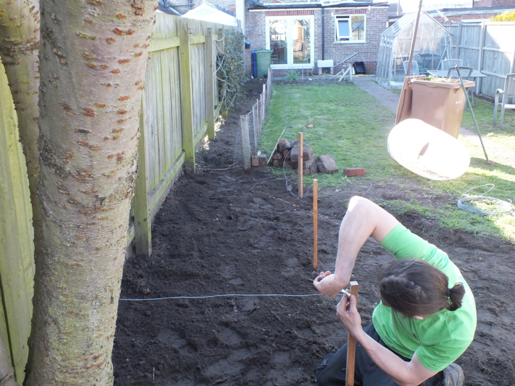 穴掘り好きの犬から畑を守る闘い 前編 これまでの遍歴と対策 Lazy Cosy Home