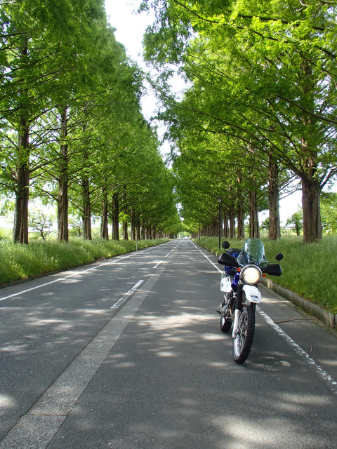 イメージ 3