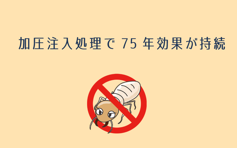 一条工務店は全棟加圧注入処理で防蟻対策