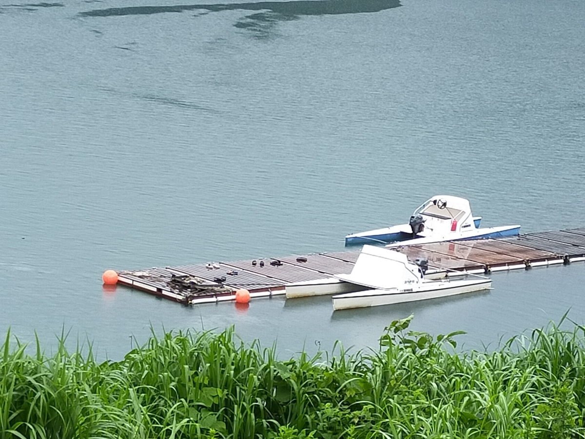 f:id:mumapansy:20210906214157j:plain