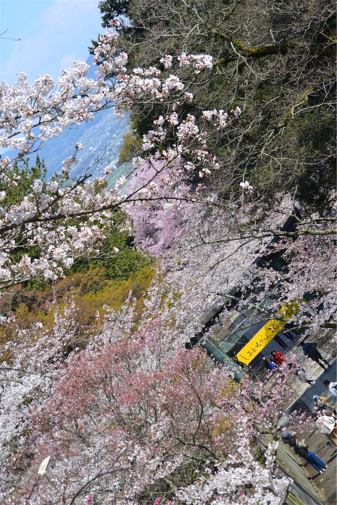 f:id:mumeii:20191103000021j:image f:id:mumeii:20191103000021j:image