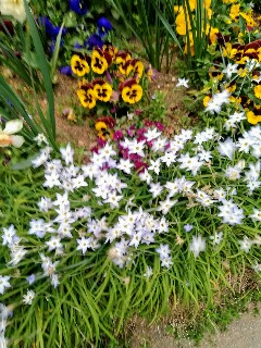 f:id:mumemume8:20180406180633j:image