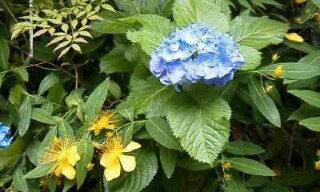 f:id:mumemume8:20180525063628j:image