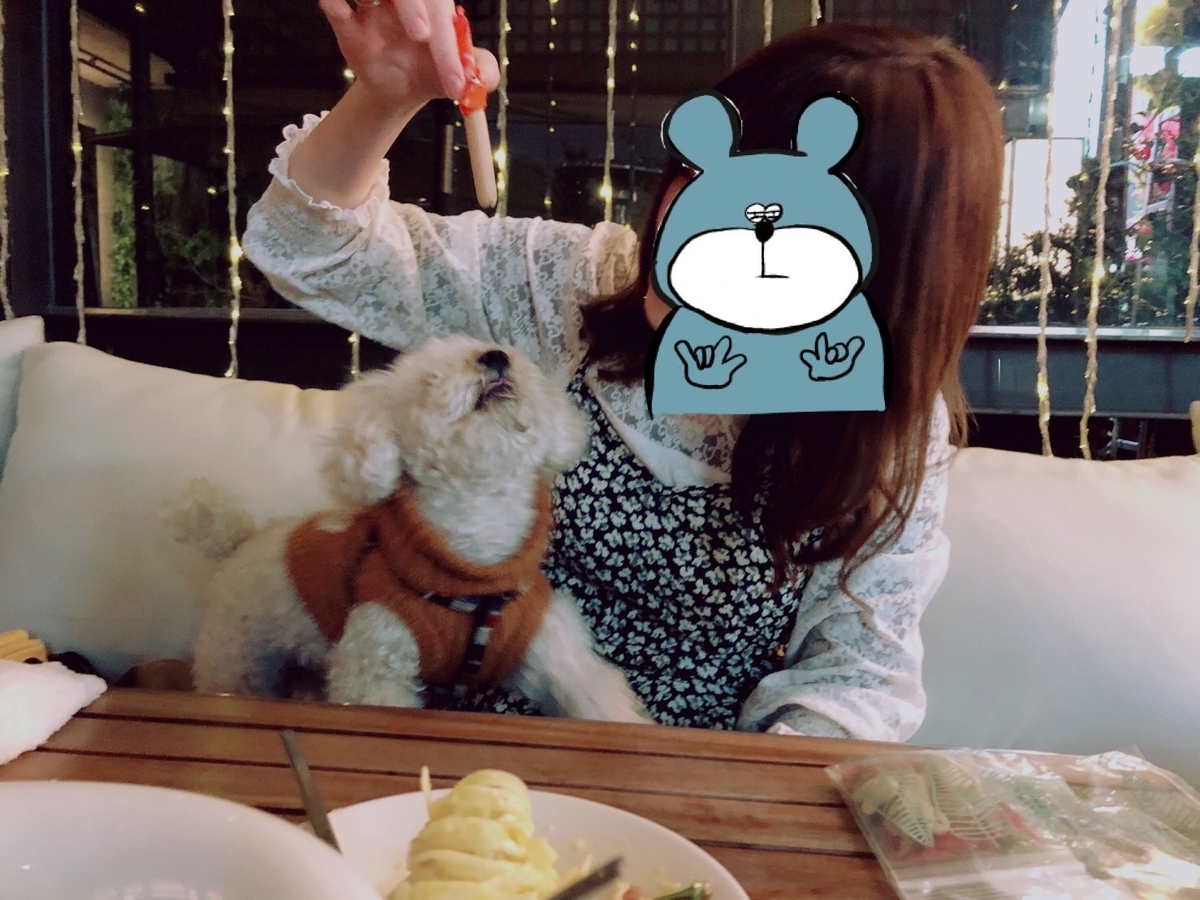 f:id:mumu_ks:20200211225523j:plain f:id:mumu_ks:20200211225523j:plain