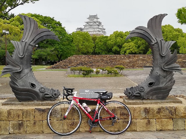 f:id:mumuhiromu:20200509145408j:image