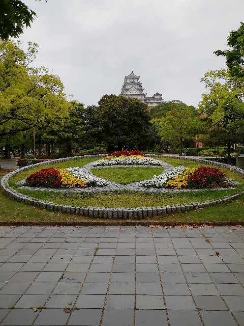 f:id:mumuhiromu:20200509160411j:image