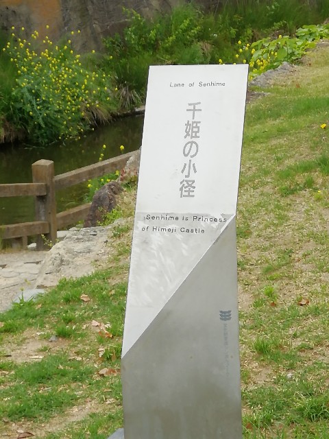 f:id:mumuhiromu:20200509170727j:image