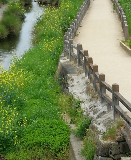 f:id:mumuhiromu:20200511114514j:image