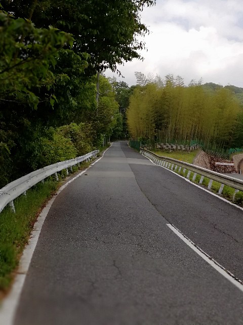 f:id:mumuhiromu:20200517133456j:image