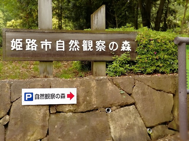 f:id:mumuhiromu:20200517133536j:image
