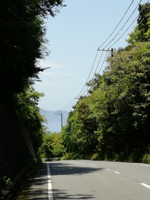 f:id:mumuhiromu:20200524153630j:image