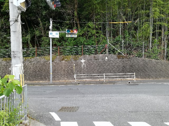 f:id:mumuhiromu:20200606214800j:image