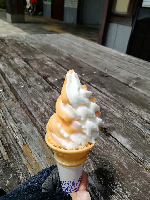 f:id:mumuhiromu:20200621165653j:image f:id:mumuhiromu:20200621165653j:image