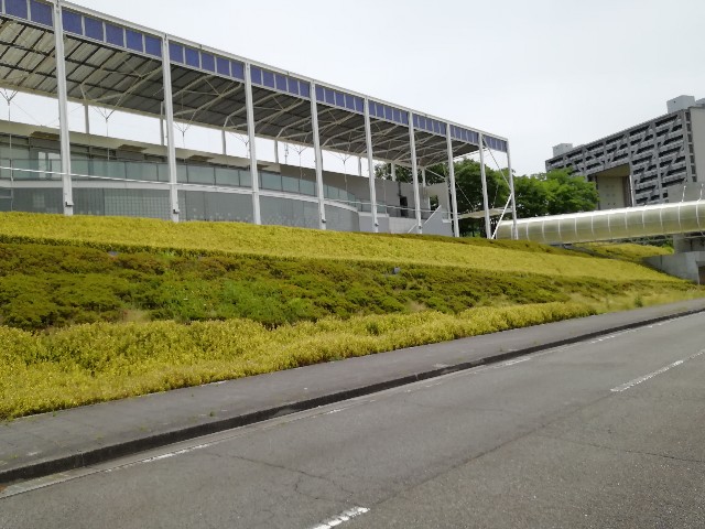 f:id:mumuhiromu:20200621170849j:image f:id:mumuhiromu:20200621170849j:image