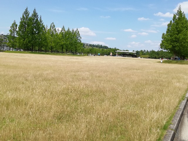 f:id:mumuhiromu:20200621171005j:image f:id:mumuhiromu:20200621171005j:image