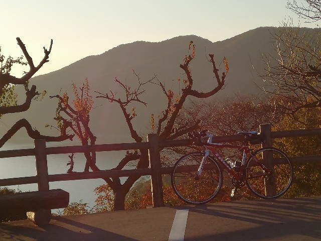 f:id:mumuhiromu:20201114212354j:image