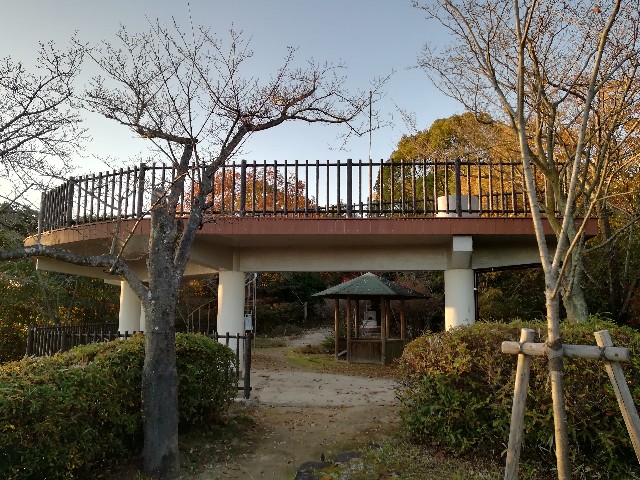 f:id:mumuhiromu:20201121211923j:image