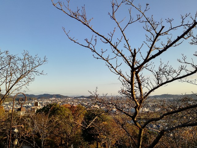 f:id:mumuhiromu:20201121213439j:image