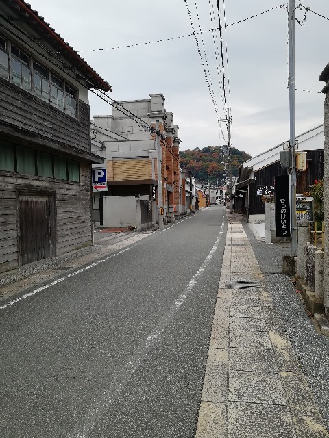 f:id:mumuhiromu:20201122180919j:image