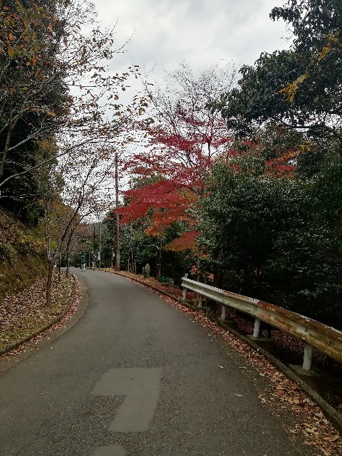 f:id:mumuhiromu:20201122182850j:image