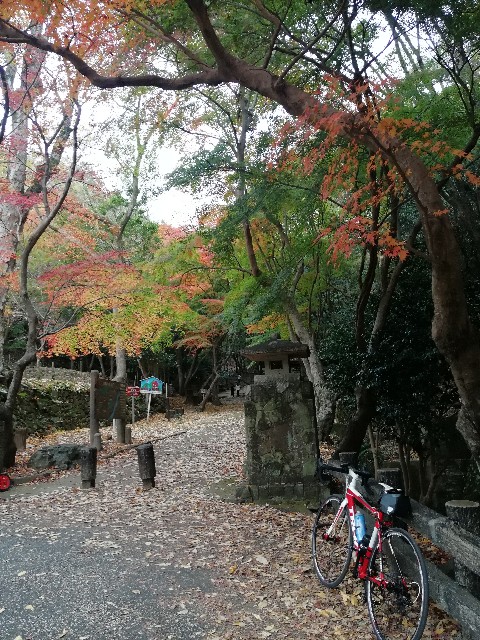 f:id:mumuhiromu:20201122183120j:image