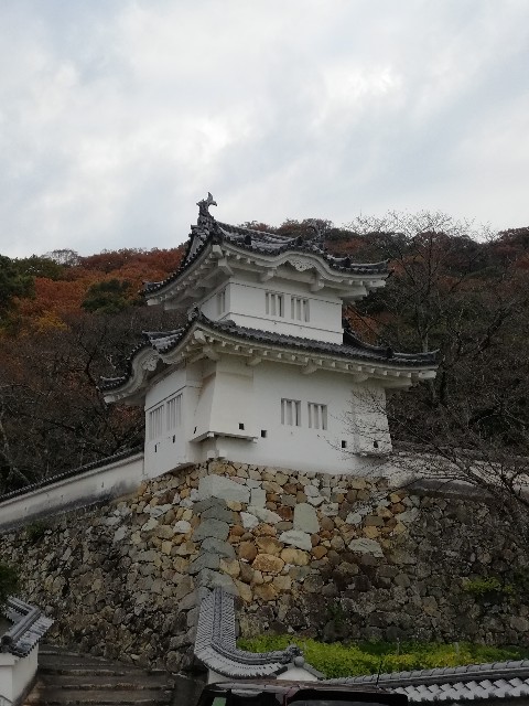 f:id:mumuhiromu:20201122183433j:image
