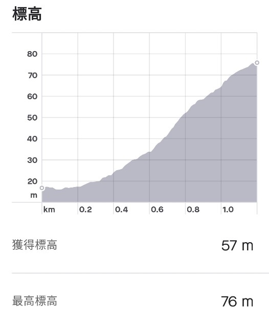 f:id:mumuhiromu:20201123063320j:plain