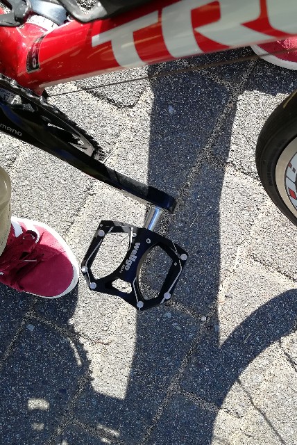 f:id:mumuhiromu:20201205113758j:image