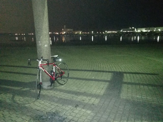 f:id:mumuhiromu:20201213055208j:image f:id:mumuhiromu:20201213055208j:image