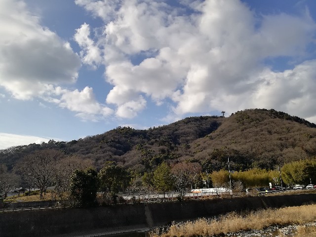f:id:mumuhiromu:20210213220210j:image