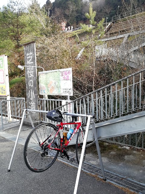 f:id:mumuhiromu:20210213220626j:image