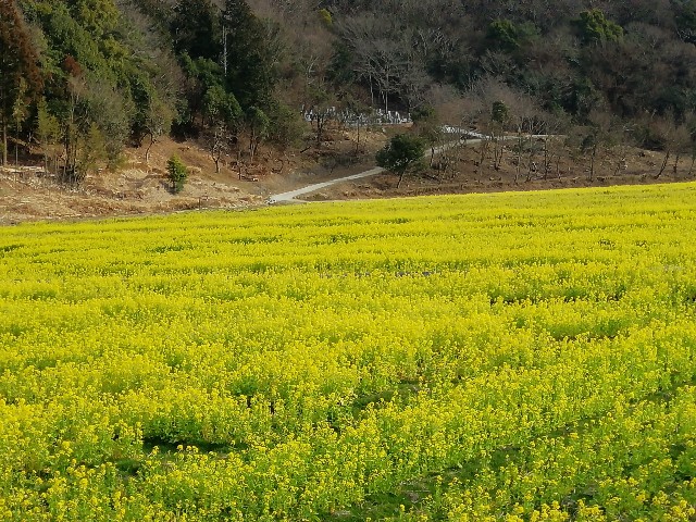 f:id:mumuhiromu:20210213222652j:image
