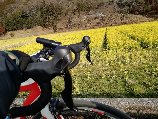 f:id:mumuhiromu:20210213222825j:image
