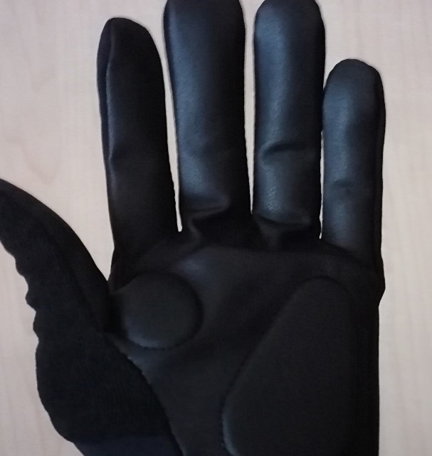 f:id:mumuhiromu:20210306092928j:image f:id:mumuhiromu:20210306092928j:image