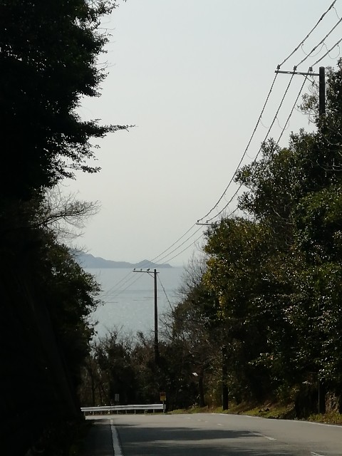 f:id:mumuhiromu:20210314194434j:image
