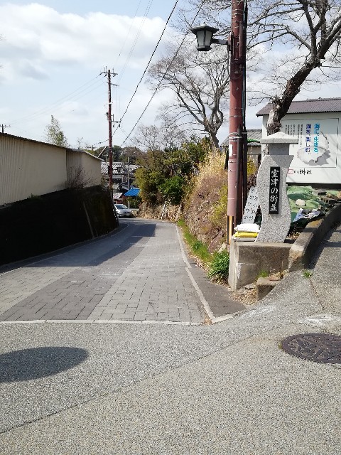 f:id:mumuhiromu:20210314194546j:image