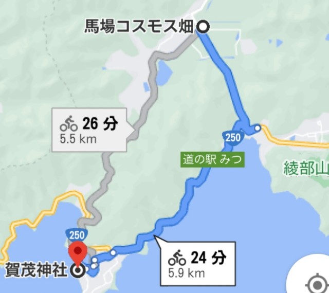 f:id:mumuhiromu:20210314213031j:image