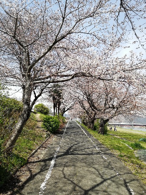 f:id:mumuhiromu:20210327173731j:image