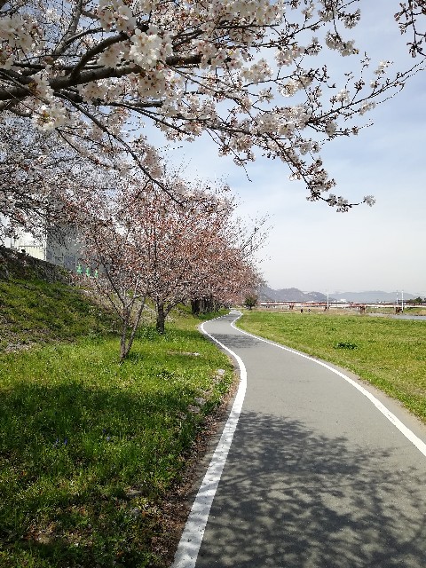 f:id:mumuhiromu:20210327173808j:image