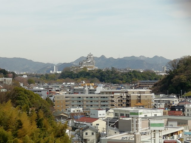 f:id:mumuhiromu:20210327175451j:image